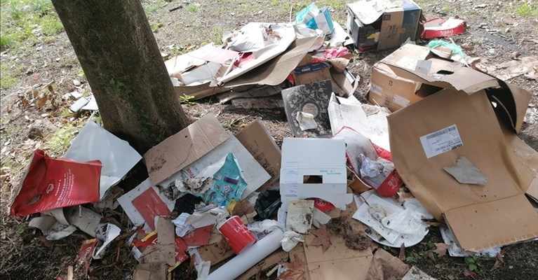 la discarica nel giardino Caponnetto