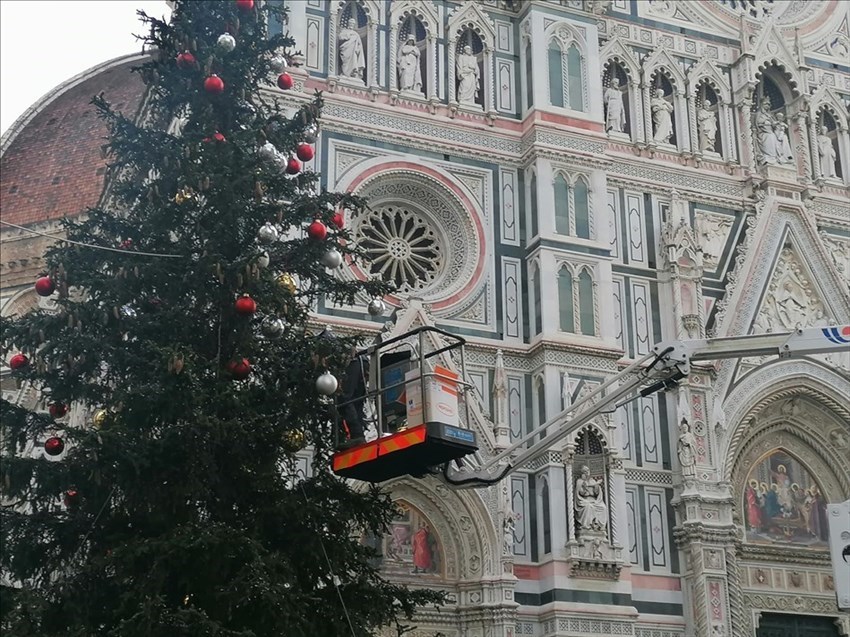 Allestimento dell'abete in Piazza Duomo a Firenze