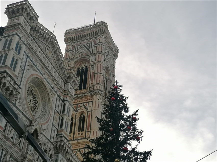 Allestimento dell'abete in Piazza Duomo a Firenze
