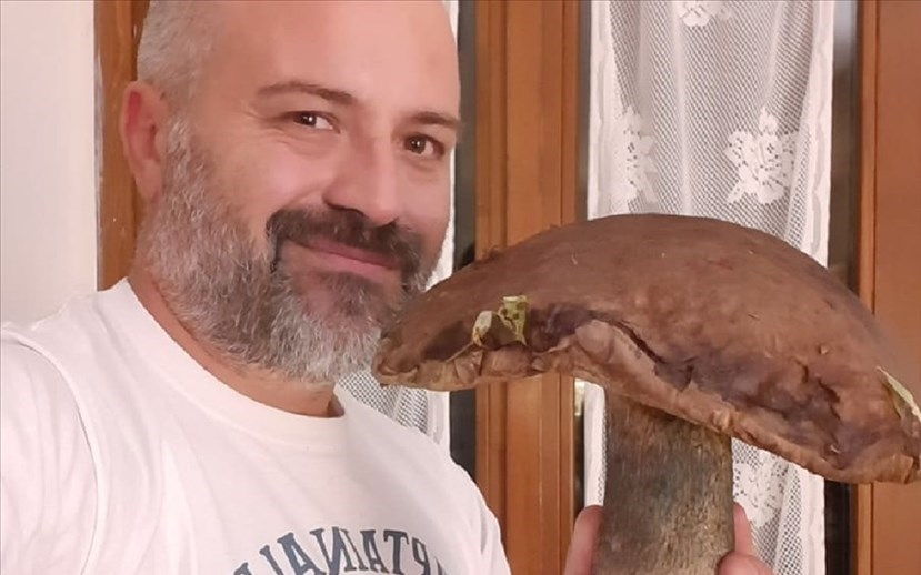 Funghi da record a Montesenario. La scoperta di Alex
