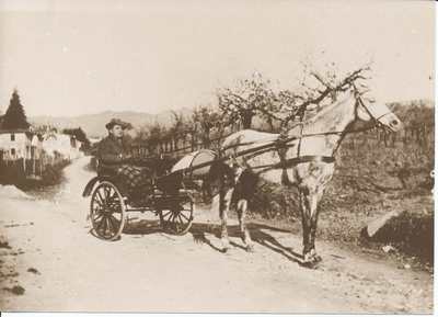 Sbalzato dal barroccio alle Balze di Dicomano ( 1897)