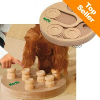 Giocando s’impara! Come educare, giocando, il nostro Fido. Consigli...