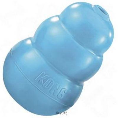 Giocando s’impara! Come educare, giocando, il nostro Fido. Consigli...