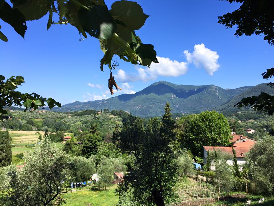 Via Francigena quinta tappa: da Pietrasanta a Lucca