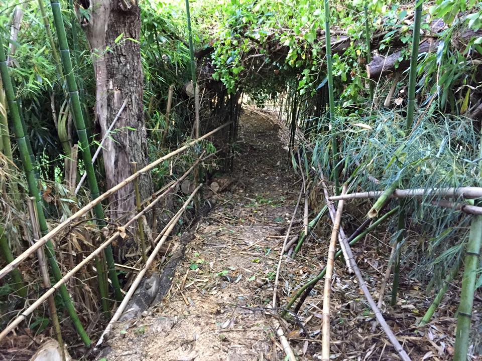 Via Francigena quinta tappa: da Pietrasanta a Lucca