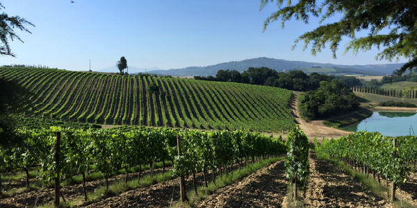 Via Francigena. Le ultime tappe toscane del cammino seguito da OK!Mugello