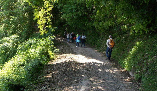 Da Brescia per conoscere il “ Priore Scomodo ”: alla scoperta di Barbiana