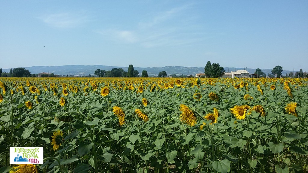 Firenze Roma in Mountain Bike. 5°-6°-7° tappa attraverso l'Umbria