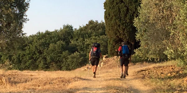 Via Francigena. Le ultime tappe toscane del cammino seguito da OK!Mugello