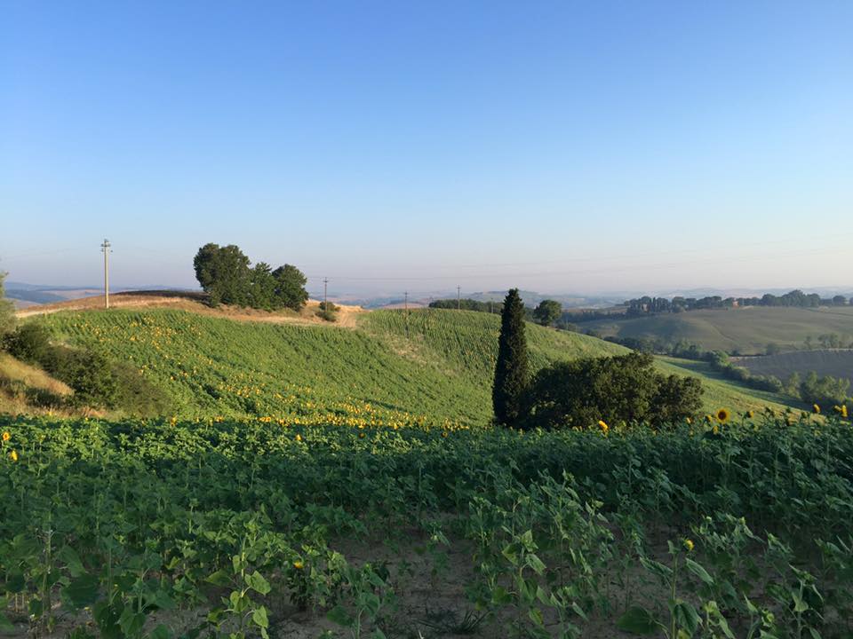 Via Francigena. Le ultime tappe toscane del cammino seguito da OK!Mugello