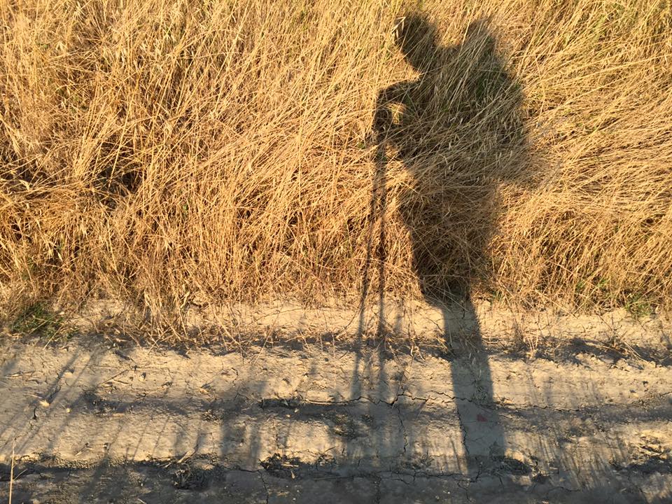 Via Francigena. Le ultime tappe toscane del cammino seguito da OK!Mugello