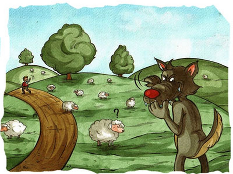 Le pecore, il lupo e i soldi pubblici. Riflessioni di un allevatore mugellano