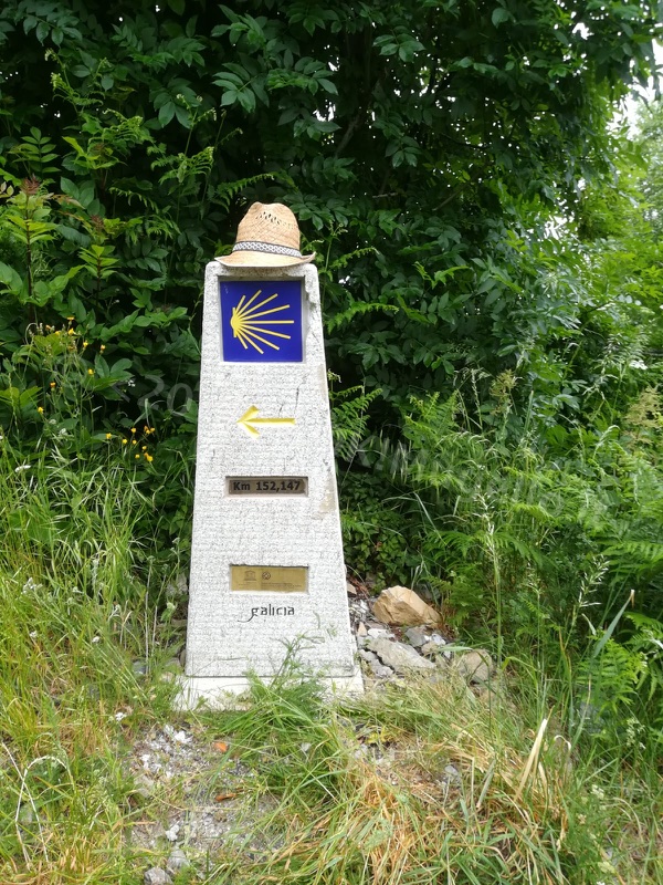 Verso Santiago: L'Alto di O Cebreiro e la bellezza della Galizia