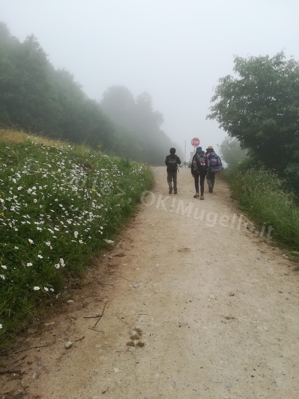 Verso Santiago: L'Alto di O Cebreiro e la bellezza della Galizia