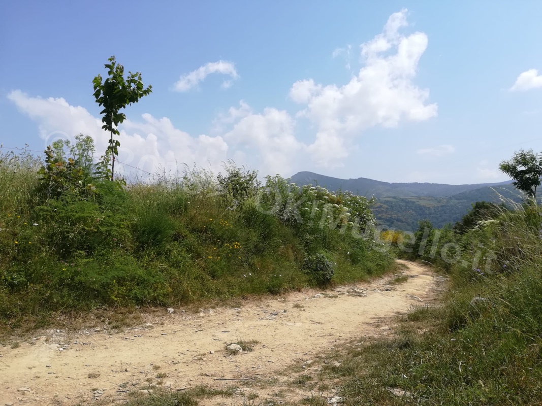 Verso Santiago: L'Alto di O Cebreiro e la bellezza della Galizia