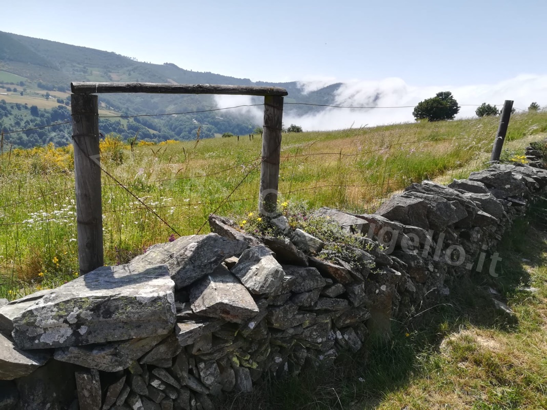 Verso Santiago: L'Alto di O Cebreiro e la bellezza della Galizia