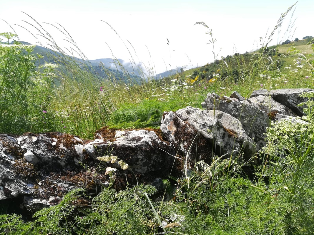 Verso Santiago: L'Alto di O Cebreiro e la bellezza della Galizia