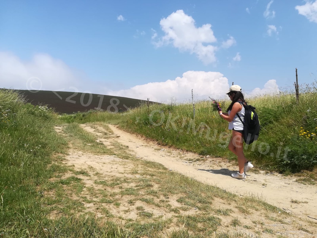 Verso Santiago: L'Alto di O Cebreiro e la bellezza della Galizia