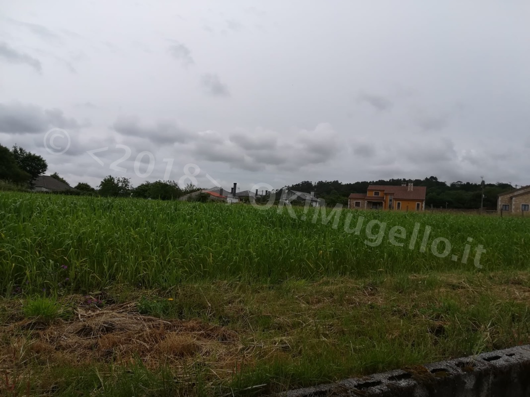 Verso Santiago: maltempo e pioggia sul cammino dei mugellani